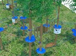 Веревочный парк на деревьях Ласточкино Гнездо